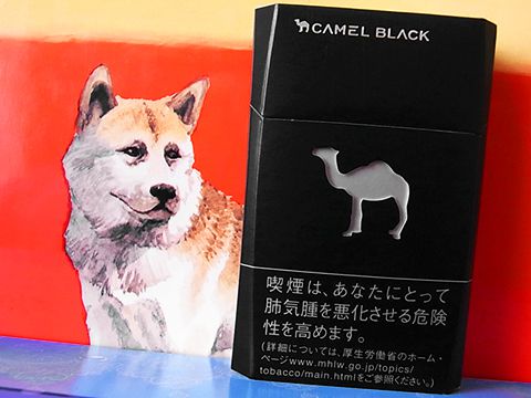 Camel Black Box