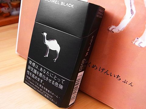 Camel Black Box