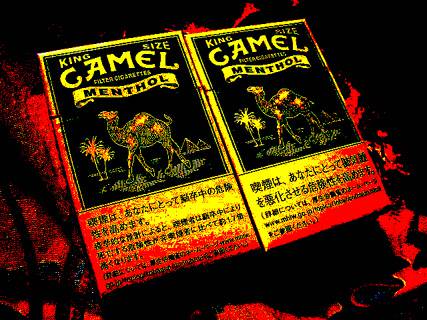 Camel Menthol Box